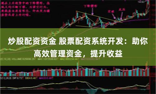 炒股配资资金 股票配资系统开发：助你高效管理资金，提升收益